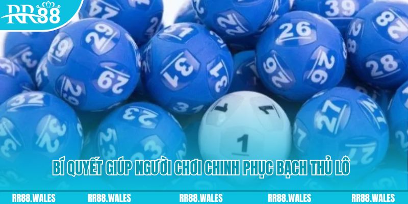 mu88 hey casino TRỰC TUYẾN